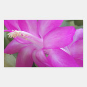 Roze kerstcactus bloom rechthoekige sticker (Voorkant)
