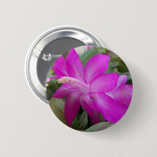 Roze kerstcactus bloom ronde button 5,7 cm (Voorkant /achterkant)