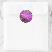 Roze kerstcactus bloom ronde sticker (Tas)