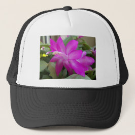 Roze kerstcactus bloom trucker pet