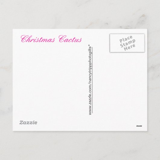 Roze Kerstcactus Portret Feestdagenkaart (Achterkant)