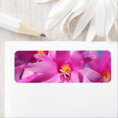 Roze kerstcactus Schlumbergera Flower Blossom Etiket