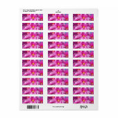 Roze kerstcactus Schlumbergera Flower Blossom Etiket