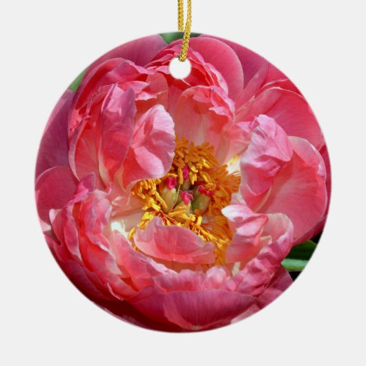 Roze kerstsierbloem keramisch ornament (Voorkant)