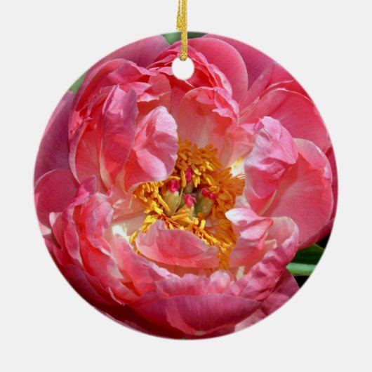 Roze kerstsierbloem keramisch ornament (Achterkant)