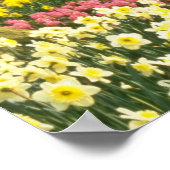 Roze Keukenhof Tudens, Hollandbloemen Poster (Hoek)
