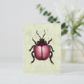 Roze Kever Schattigee Bug Art - Insectenliefhebber Briefkaart (Staand voorkant)