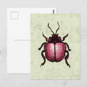 Roze Kever Schattigee Bug Art - Insectenliefhebber Briefkaart (Voorkant / Achterkant)