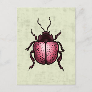 Roze Kever Schattigee Bug Art - Insectenliefhebber Briefkaart