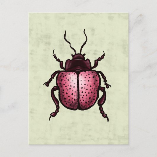 Roze Kever Schattigee Bug Art - Insectenliefhebber Briefkaart (Voorkant)