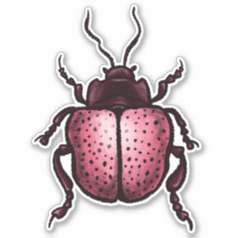 Roze Kever Schattigee Bug Art - Insectenliefhebber Sticker