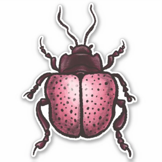 Roze Kever Schattigee Bug Art - Insectenliefhebber Sticker (Voorkant)