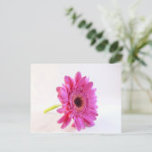 roze kiezelsteen op wit briefkaart (Staand voorkant)