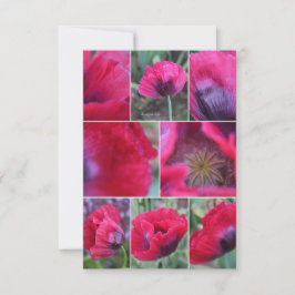 Roze Klaproos Collage Notitiekaartje
