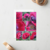 Roze Klaproos Collage Notitiekaartje (Voorkant / Achterkant in situ)