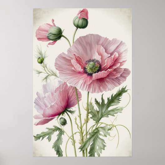 Roze Klaprozen Bloemen Kunstprint Poster (Voorkant)