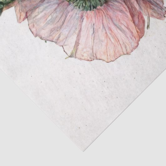 Roze klaprozen, delicate bloemige Waterverf Tissuepapier (Detail)