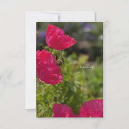 roze klaprozen in de tuin notitiekaartje