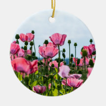 Roze Klaprozen
