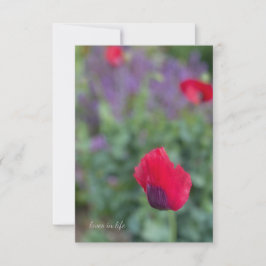 Roze klaprozen, Paarse tuin Notitiekaartje