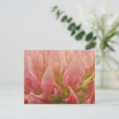 Roze klaver briefkaart (Staand voorkant)