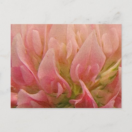 Roze klaver briefkaart (Voorkant)