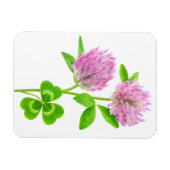 Roze klaver magneet (Horizontaal)