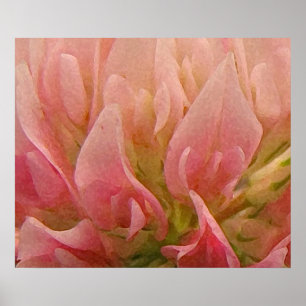 Roze klaver poster