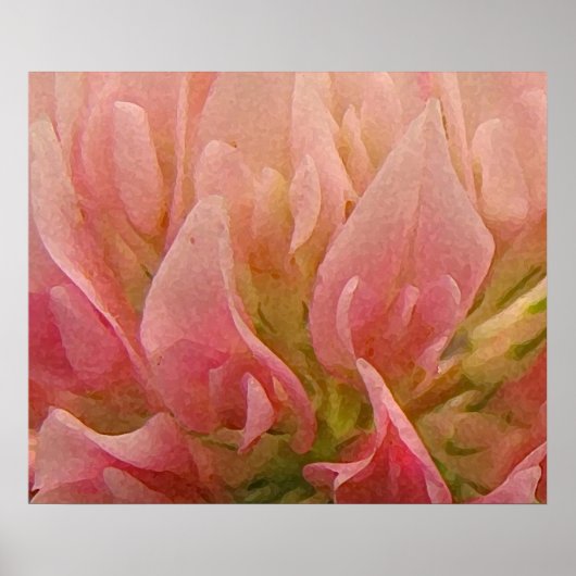 Roze klaver poster (Voorkant)