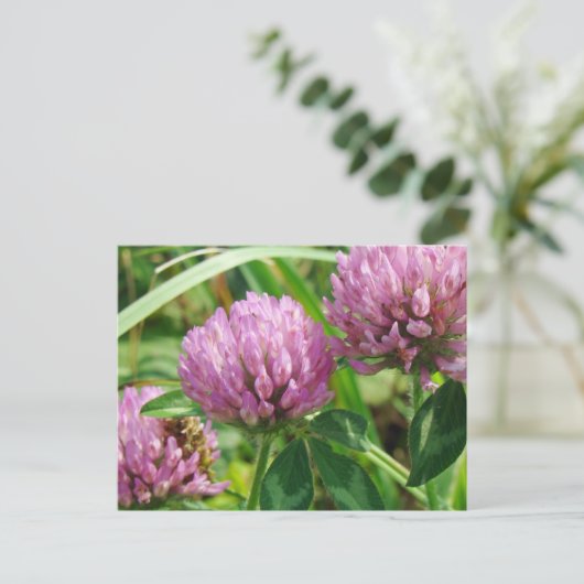 Roze klaver Wilde bloem - Trifolium pratense Briefkaart (Staand voorkant)