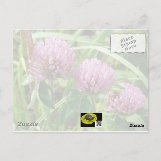 Roze klaver Wilde bloem - Trifolium pratense Briefkaart (Achterkant)