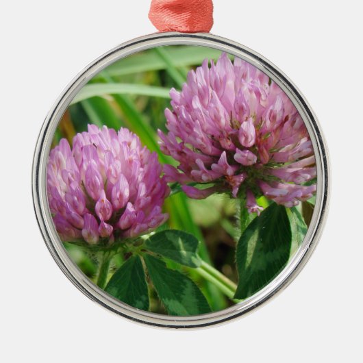 Roze klaver Wilde bloem - Trifolium pratense Metalen Ornament (Voorkant)