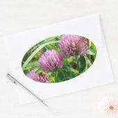 Roze klaver Wilde bloem - Trifolium pratense Ovale Sticker (Envelop)