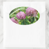 Roze klaver Wilde bloem - Trifolium pratense Ovale Sticker (Tas)