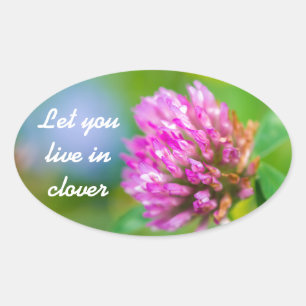 Roze klaverbloem ovale sticker