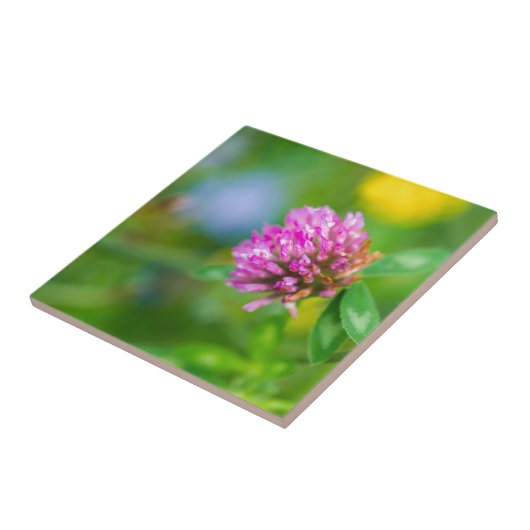 Roze klaverbloem tegeltje (Zijkant)