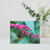 Roze kleine bloemen postkaart (Staand voorkant)