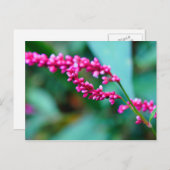 Roze kleine bloemen postkaart (Voorkant / Achterkant)