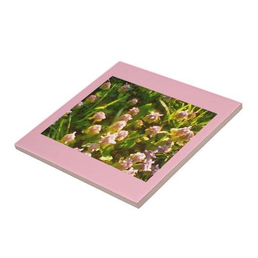 Roze kleppen tegeltje (Zijkant)