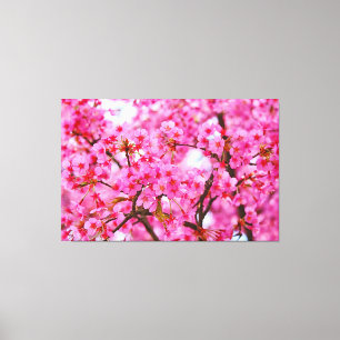 Roze kleur Cherry Blossom Canvas Afdruk