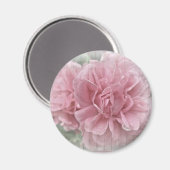 Roze klimmende Roos bloesems Magneet (Voorkant / Achterkant)