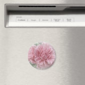 Roze klimmende Roos bloesems Magneet (Insitu (Vaatwasser))