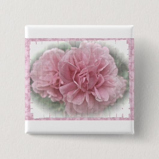 Roze klimmende Roos bloesems Vierkante Button 5,1 Cm (Voorkant)