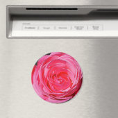 Roze klimmende Roos Magneet (Insitu (Vaatwasser))