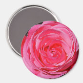 Roze klimmende Roos Magneet (Voorkant / Achterkant)