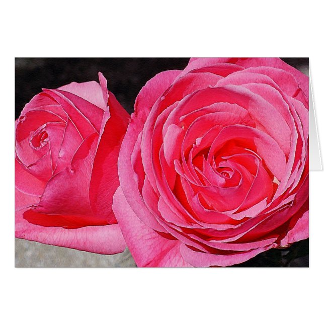 Roze klimmende Rozen (Voorkant Horizontaal)