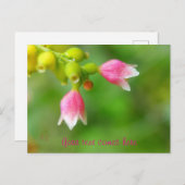 roze klokken feestdagenkaart (Voorkant / Achterkant)