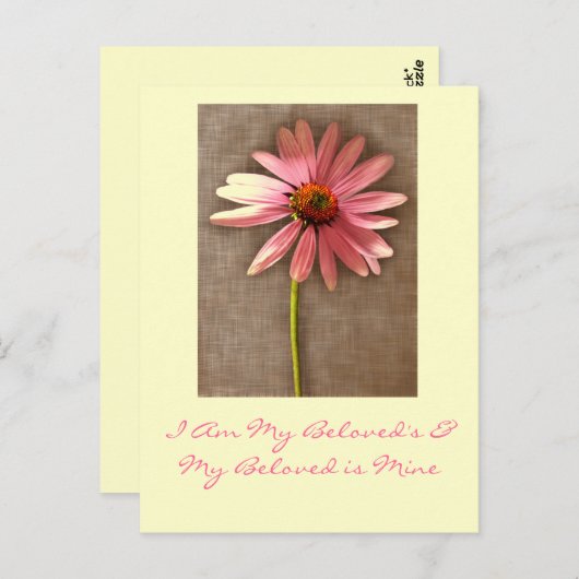 Roze kloonventilator - Ik ben van Beloved en van m Briefkaart (Voorkant / Achterkant)