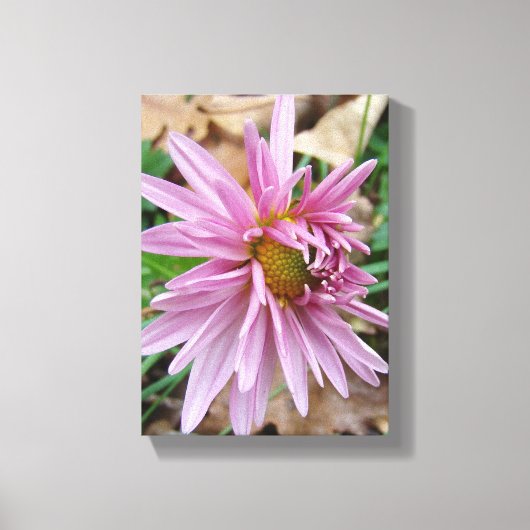 Roze knipoot! canvas afdruk (Voorkant)