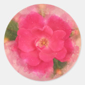 Roze Knockout Roos Waterverf Ronde Sticker (Voorkant)